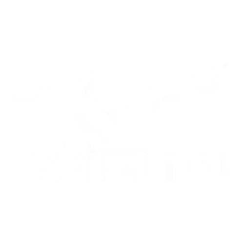 Mizuno