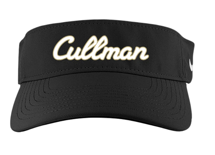Sample Script Visor